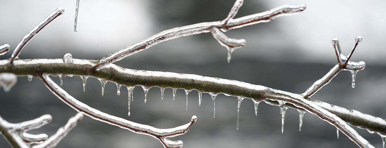 Image of snow